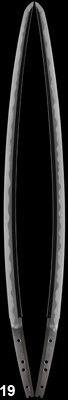 kunimune