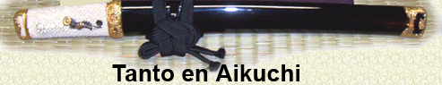 aikuchi