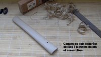 coque2