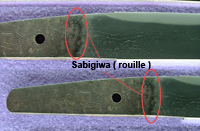 sabigiwa