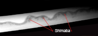 shimaba 2