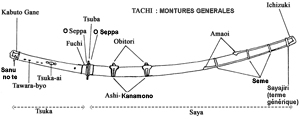 tachi montures